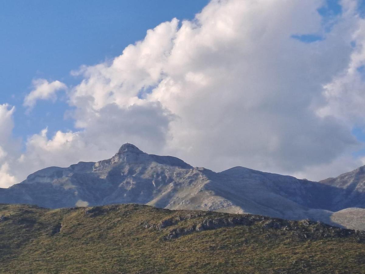La Campagna Di Peppe E Tullia Bed & Breakfast Formia Exterior photo
