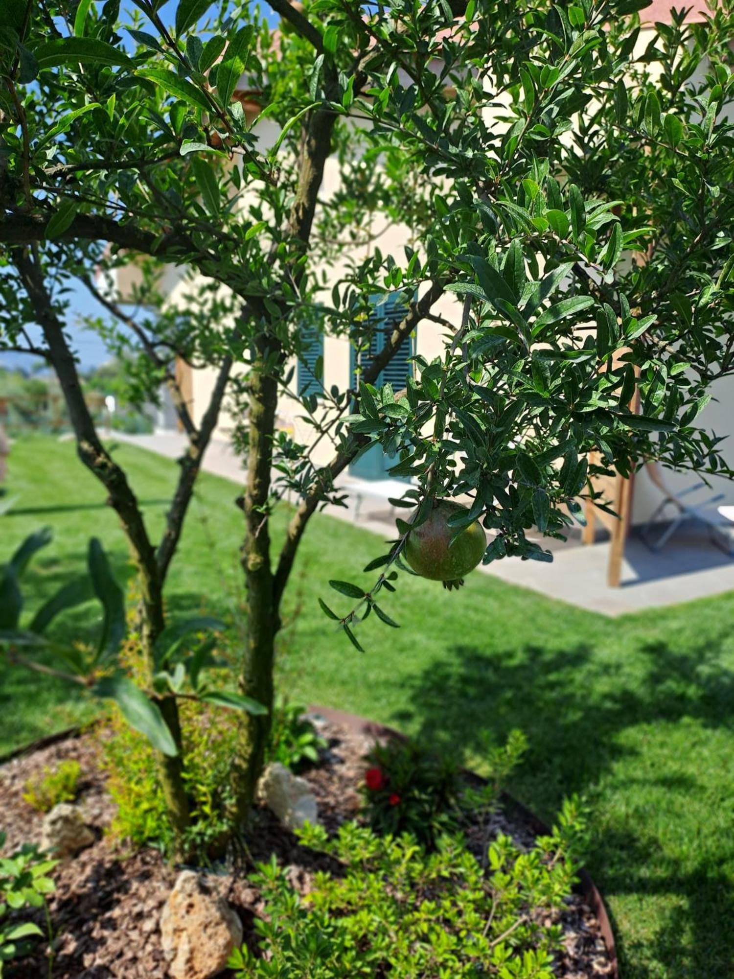 La Campagna Di Peppe E Tullia Bed & Breakfast Formia Exterior photo