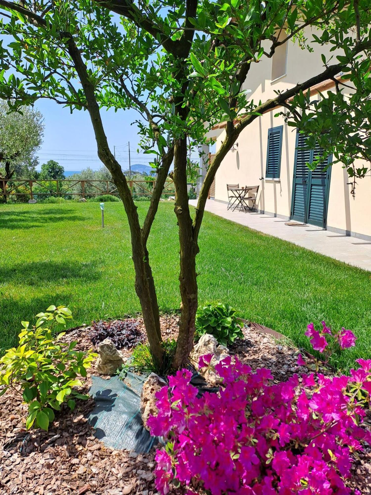 La Campagna Di Peppe E Tullia Bed & Breakfast Formia Exterior photo